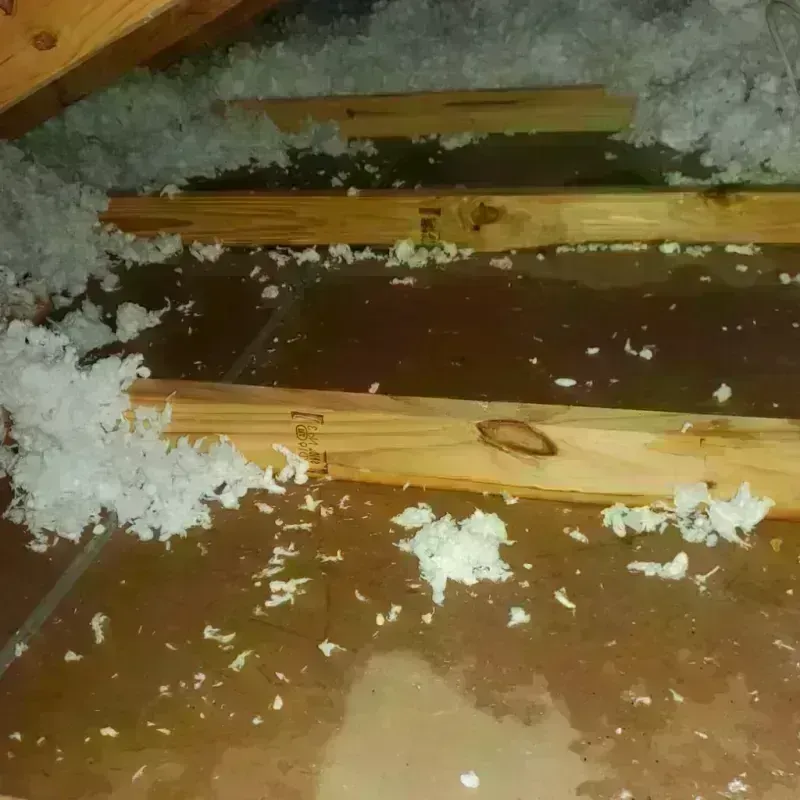 Attic Water Damage in Copeland, OK