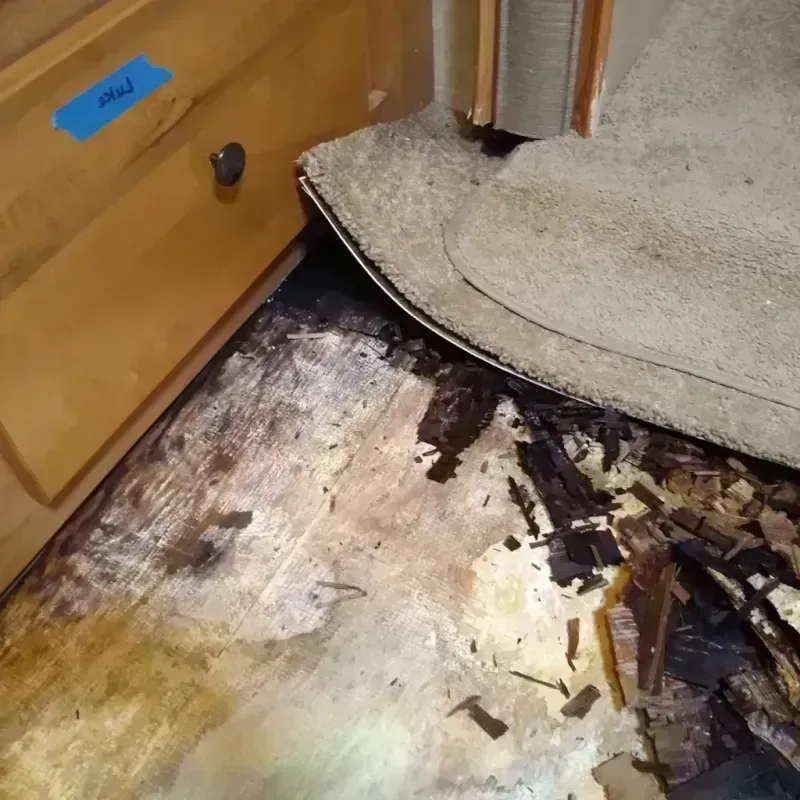 Wood Floor Water Damage in Copeland, OK